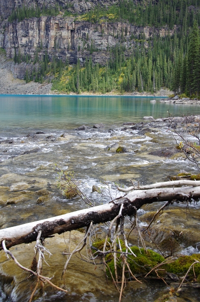 Banff NP 'Moraine  Lake Lakeshore' 16_09_2011 (165).JPG